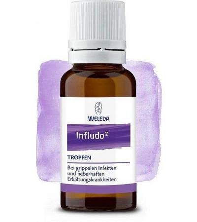 Infludo Tropfen 20 ml