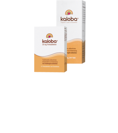 Kaloba Tropfen 20 ml